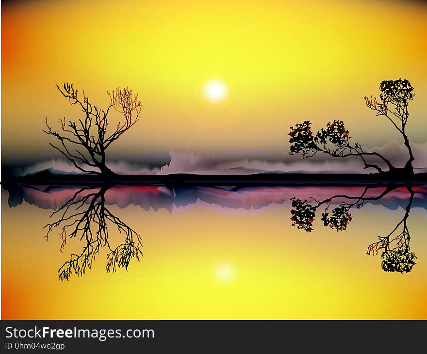 Nature, Yellow, Sky, Branch