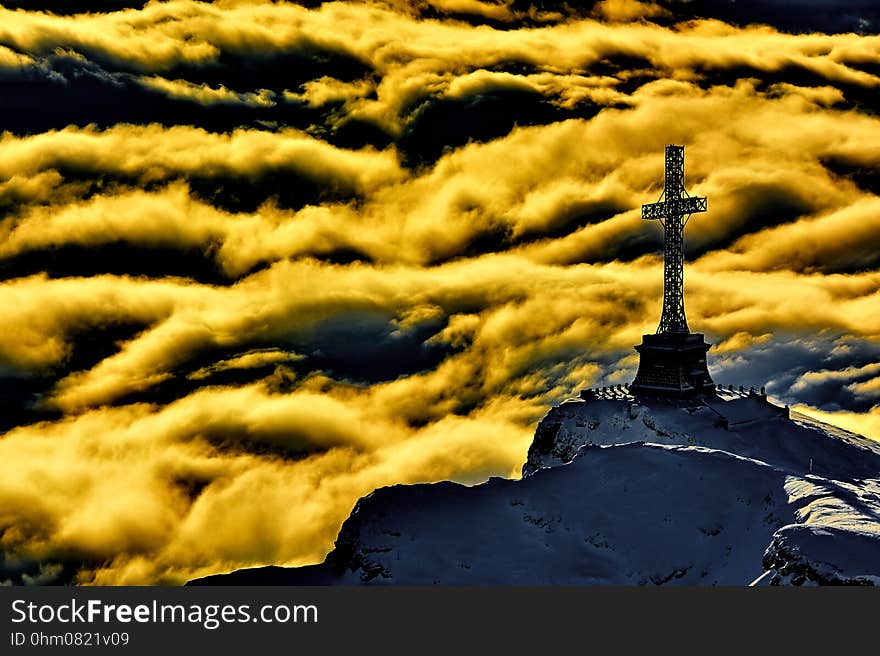 Yellow, Sky, Water, Tree