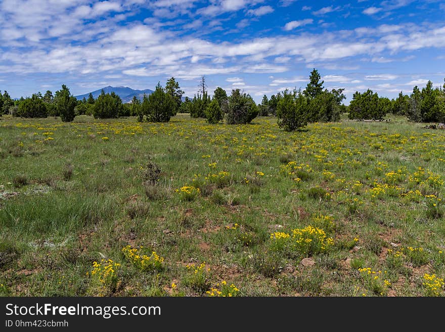 View of the San Francisco Peaks from Anderson Mesa. The Arizona National Scenic Trail Anderson Mesa Passage &#x28;AZT-30&#x29; traverses Anderson Mesa in the Lake Mary area southeast of Flagstaff. The passage begins northwest of Mormon Lake, crosses Lake Mary Road near Pinegrove Campground, and ascends Anderson Mesa, passing near several small wetlands on its way to Marshall Lake, the most well-known of these magical and important wildlife habitats. Between Vail and Prime Lakes, the trail skirts around observatory facilities to the edge of the mesa, providing a stunning panoramic view of Lake Mary. On Coconino National Forest maps, the Arizona Trail is labeled as trail number 87 for its entire traversal of the Forest. This photo was taken in August 2017 by Deborah Lee Soltesz during a day hike from Marshall Lake to a point just west of Vail Lake. Credit: U.S. Forest Service Coconino National Forest. For information on this passage, visit Arizona Trail: Anderson Mesa Passage AZT-30 and download the Anderson Mesa Passage AZT-30 trail map. Visit Coconino National Forest for more trails and other recreation opportunities. View of the San Francisco Peaks from Anderson Mesa. The Arizona National Scenic Trail Anderson Mesa Passage &#x28;AZT-30&#x29; traverses Anderson Mesa in the Lake Mary area southeast of Flagstaff. The passage begins northwest of Mormon Lake, crosses Lake Mary Road near Pinegrove Campground, and ascends Anderson Mesa, passing near several small wetlands on its way to Marshall Lake, the most well-known of these magical and important wildlife habitats. Between Vail and Prime Lakes, the trail skirts around observatory facilities to the edge of the mesa, providing a stunning panoramic view of Lake Mary. On Coconino National Forest maps, the Arizona Trail is labeled as trail number 87 for its entire traversal of the Forest. This photo was taken in August 2017 by Deborah Lee Soltesz during a day hike from Marshall Lake to a point just west of Vail Lake. Credit: U.S. Forest Service Coconino National Forest. For information on this passage, visit Arizona Trail: Anderson Mesa Passage AZT-30 and download the Anderson Mesa Passage AZT-30 trail map. Visit Coconino National Forest for more trails and other recreation opportunities.