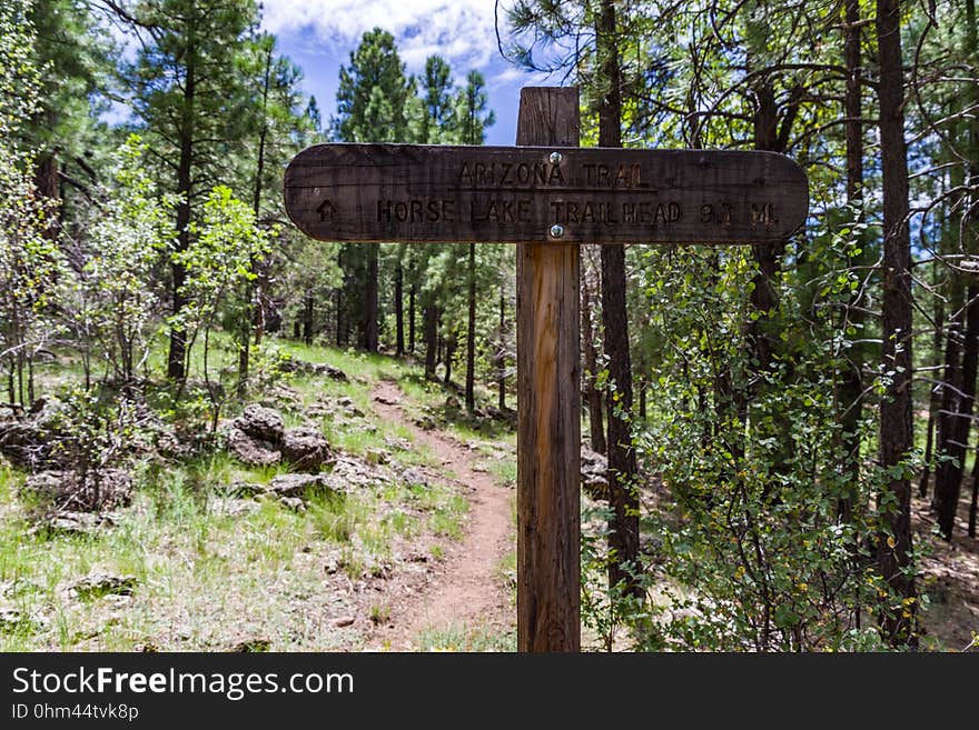 Ascending to the top of Anderson Mesa from Marshall Lake through a shady section of oak and ponderosa pine. The Arizona National Scenic Trail Anderson Mesa Passage &#x28;AZT-30&#x29; traverses Anderson Mesa in the Lake Mary area southeast of Flagstaff. The passage begins northwest of Mormon Lake, crosses Lake Mary Road near Pinegrove Campground, and ascends Anderson Mesa, passing near several small wetlands on its way to Marshall Lake, the most well-known of these magical and important wildlife habitats. Between Vail and Prime Lakes, the trail skirts around observatory facilities to the edge of the mesa, providing a stunning panoramic view of Lake Mary. On Coconino National Forest maps, the Arizona Trail is labeled as trail number 87 for its entire traversal of the Forest. This photo was taken in August 2017 by Deborah Lee Soltesz during a day hike from Marshall Lake to a point just west of Vail Lake. Credit: U.S. Forest Service Coconino National Forest. For information on this passage, visit Arizona Trail: Anderson Mesa Passage AZT-30 and download the Anderson Mesa Passage AZT-30 trail map. Visit Coconino National Forest for more trails and other recreation opportunities. Ascending to the top of Anderson Mesa from Marshall Lake through a shady section of oak and ponderosa pine. The Arizona National Scenic Trail Anderson Mesa Passage &#x28;AZT-30&#x29; traverses Anderson Mesa in the Lake Mary area southeast of Flagstaff. The passage begins northwest of Mormon Lake, crosses Lake Mary Road near Pinegrove Campground, and ascends Anderson Mesa, passing near several small wetlands on its way to Marshall Lake, the most well-known of these magical and important wildlife habitats. Between Vail and Prime Lakes, the trail skirts around observatory facilities to the edge of the mesa, providing a stunning panoramic view of Lake Mary. On Coconino National Forest maps, the Arizona Trail is labeled as trail number 87 for its entire traversal of the Forest. This photo was taken in August 2017 by Deborah Lee Soltesz during a day hike from Marshall Lake to a point just west of Vail Lake. Credit: U.S. Forest Service Coconino National Forest. For information on this passage, visit Arizona Trail: Anderson Mesa Passage AZT-30 and download the Anderson Mesa Passage AZT-30 trail map. Visit Coconino National Forest for more trails and other recreation opportunities.