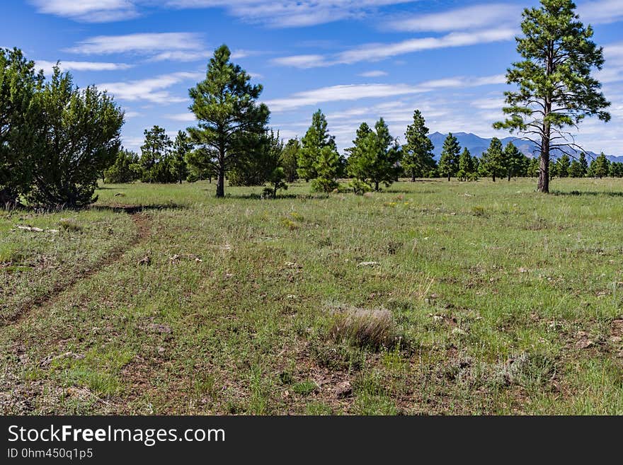 View of the San Francisco Peaks from Anderson Mesa. The Arizona National Scenic Trail Anderson Mesa Passage &#x28;AZT-30&#x29; traverses Anderson Mesa in the Lake Mary area southeast of Flagstaff. The passage begins northwest of Mormon Lake, crosses Lake Mary Road near Pinegrove Campground, and ascends Anderson Mesa, passing near several small wetlands on its way to Marshall Lake, the most well-known of these magical and important wildlife habitats. Between Vail and Prime Lakes, the trail skirts around observatory facilities to the edge of the mesa, providing a stunning panoramic view of Lake Mary. On Coconino National Forest maps, the Arizona Trail is labeled as trail number 87 for its entire traversal of the Forest. This photo was taken in August 2017 by Deborah Lee Soltesz during a day hike from Marshall Lake to a point just west of Vail Lake. Credit: U.S. Forest Service Coconino National Forest. For information on this passage, visit Arizona Trail: Anderson Mesa Passage AZT-30 and download the Anderson Mesa Passage AZT-30 trail map. Visit Coconino National Forest for more trails and other recreation opportunities. View of the San Francisco Peaks from Anderson Mesa. The Arizona National Scenic Trail Anderson Mesa Passage &#x28;AZT-30&#x29; traverses Anderson Mesa in the Lake Mary area southeast of Flagstaff. The passage begins northwest of Mormon Lake, crosses Lake Mary Road near Pinegrove Campground, and ascends Anderson Mesa, passing near several small wetlands on its way to Marshall Lake, the most well-known of these magical and important wildlife habitats. Between Vail and Prime Lakes, the trail skirts around observatory facilities to the edge of the mesa, providing a stunning panoramic view of Lake Mary. On Coconino National Forest maps, the Arizona Trail is labeled as trail number 87 for its entire traversal of the Forest. This photo was taken in August 2017 by Deborah Lee Soltesz during a day hike from Marshall Lake to a point just west of Vail Lake. Credit: U.S. Forest Service Coconino National Forest. For information on this passage, visit Arizona Trail: Anderson Mesa Passage AZT-30 and download the Anderson Mesa Passage AZT-30 trail map. Visit Coconino National Forest for more trails and other recreation opportunities.