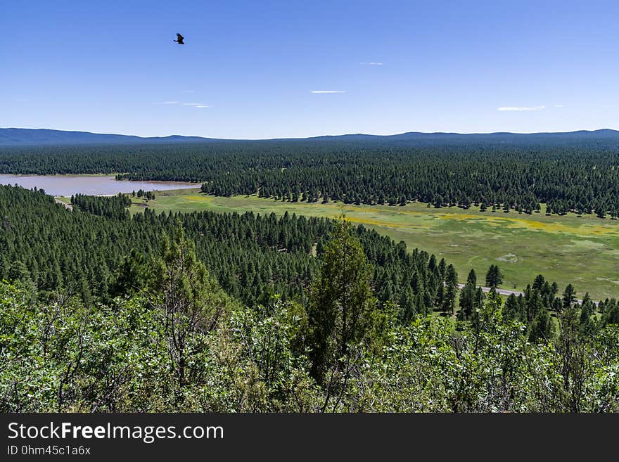 View of Lake Mary from the edge of Anderson Mesa. The Arizona National Scenic Trail Anderson Mesa Passage &#x28;AZT-30&#x29; traverses Anderson Mesa in the Lake Mary area southeast of Flagstaff. The passage begins northwest of Mormon Lake, crosses Lake Mary Road near Pinegrove Campground, and ascends Anderson Mesa, passing near several small wetlands on its way to Marshall Lake, the most well-known of these magical and important wildlife habitats. Between Vail and Prime Lakes, the trail skirts around observatory facilities to the edge of the mesa, providing a stunning panoramic view of Lake Mary. On Coconino National Forest maps, the Arizona Trail is labeled as trail number 87 for its entire traversal of the Forest. This photo was taken in August 2017 by Deborah Lee Soltesz during a day hike from Marshall Lake to a point just west of Vail Lake. Credit: U.S. Forest Service Coconino National Forest. For information on this passage, visit Arizona Trail: Anderson Mesa Passage AZT-30 and download the Anderson Mesa Passage AZT-30 trail map. Visit Coconino National Forest for more trails and other recreation opportunities. View of Lake Mary from the edge of Anderson Mesa. The Arizona National Scenic Trail Anderson Mesa Passage &#x28;AZT-30&#x29; traverses Anderson Mesa in the Lake Mary area southeast of Flagstaff. The passage begins northwest of Mormon Lake, crosses Lake Mary Road near Pinegrove Campground, and ascends Anderson Mesa, passing near several small wetlands on its way to Marshall Lake, the most well-known of these magical and important wildlife habitats. Between Vail and Prime Lakes, the trail skirts around observatory facilities to the edge of the mesa, providing a stunning panoramic view of Lake Mary. On Coconino National Forest maps, the Arizona Trail is labeled as trail number 87 for its entire traversal of the Forest. This photo was taken in August 2017 by Deborah Lee Soltesz during a day hike from Marshall Lake to a point just west of Vail Lake. Credit: U.S. Forest Service Coconino National Forest. For information on this passage, visit Arizona Trail: Anderson Mesa Passage AZT-30 and download the Anderson Mesa Passage AZT-30 trail map. Visit Coconino National Forest for more trails and other recreation opportunities.