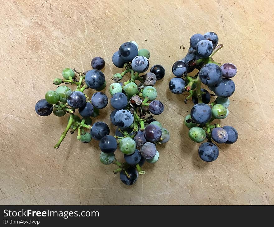 Grabbed a handful of Arizona Grape Vitis arizonica, growing along a road side ditch. They are tasty if tiny, but the real goal was to save a bunch of seeds to plant in my yard. Grabbed a handful of Arizona Grape Vitis arizonica, growing along a road side ditch. They are tasty if tiny, but the real goal was to save a bunch of seeds to plant in my yard.