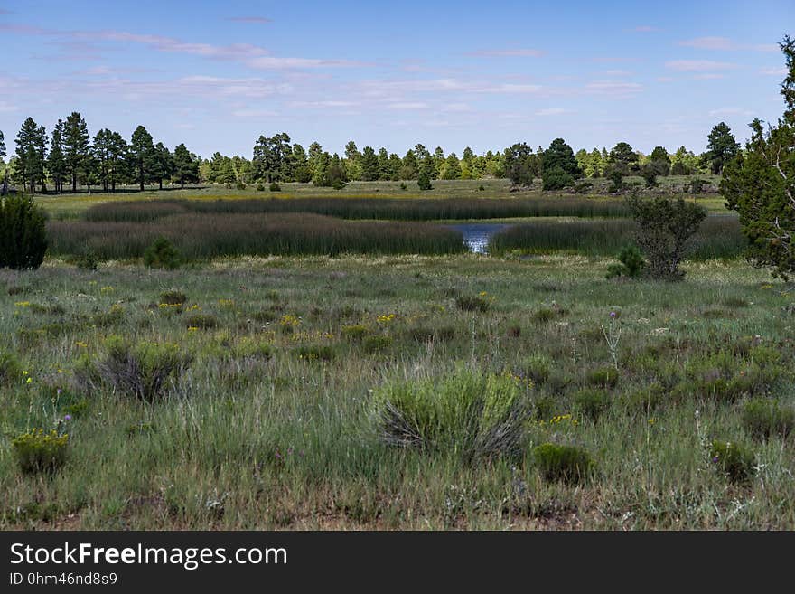 Prime Lake wetland on Anderson Mesa. The Arizona National Scenic Trail Anderson Mesa Passage &#x28;AZT-30&#x29; traverses Anderson Mesa in the Lake Mary area southeast of Flagstaff. The passage begins northwest of Mormon Lake, crosses Lake Mary Road near Pinegrove Campground, and ascends Anderson Mesa, passing near several small wetlands on its way to Marshall Lake, the most well-known of these magical and important wildlife habitats. Between Vail and Prime Lakes, the trail skirts around observatory facilities to the edge of the mesa, providing a stunning panoramic view of Lake Mary. On Coconino National Forest maps, the Arizona Trail is labeled as trail number 87 for its entire traversal of the Forest. This photo was taken in August 2017 by Deborah Lee Soltesz during a day hike from Marshall Lake to a point just west of Vail Lake. Credit: U.S. Forest Service Coconino National Forest. For information on this passage, visit Arizona Trail: Anderson Mesa Passage AZT-30 and download the Anderson Mesa Passage AZT-30 trail map. Visit Coconino National Forest for more trails and other recreation opportunities. Prime Lake wetland on Anderson Mesa. The Arizona National Scenic Trail Anderson Mesa Passage &#x28;AZT-30&#x29; traverses Anderson Mesa in the Lake Mary area southeast of Flagstaff. The passage begins northwest of Mormon Lake, crosses Lake Mary Road near Pinegrove Campground, and ascends Anderson Mesa, passing near several small wetlands on its way to Marshall Lake, the most well-known of these magical and important wildlife habitats. Between Vail and Prime Lakes, the trail skirts around observatory facilities to the edge of the mesa, providing a stunning panoramic view of Lake Mary. On Coconino National Forest maps, the Arizona Trail is labeled as trail number 87 for its entire traversal of the Forest. This photo was taken in August 2017 by Deborah Lee Soltesz during a day hike from Marshall Lake to a point just west of Vail Lake. Credit: U.S. Forest Service Coconino National Forest. For information on this passage, visit Arizona Trail: Anderson Mesa Passage AZT-30 and download the Anderson Mesa Passage AZT-30 trail map. Visit Coconino National Forest for more trails and other recreation opportunities.