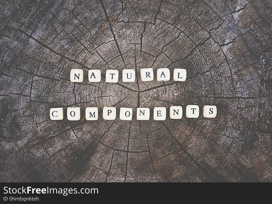 Words natural components of alphabet beads on a tree stump surface in the forest.