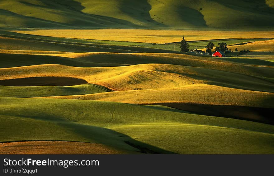 Palouse Hills at Sunrise