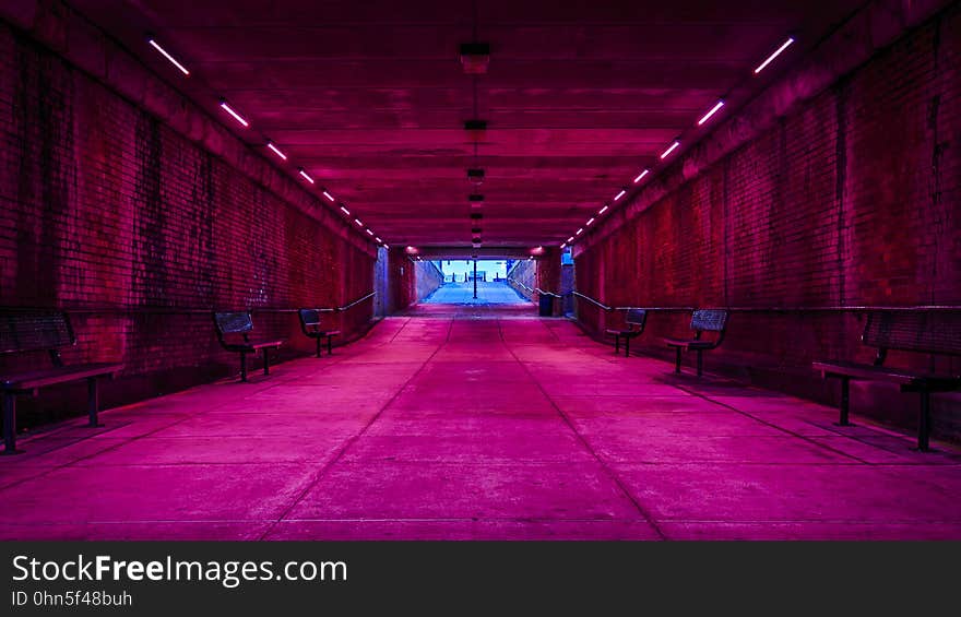 Pink lights in empty tunnel. Pink lights in empty tunnel.