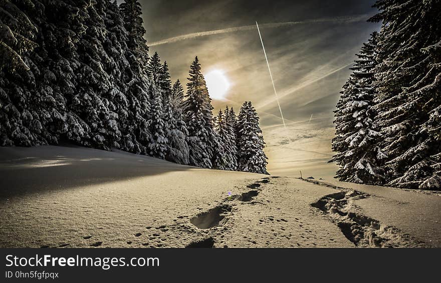 Cloud, Sky, Atmosphere, Plant, Snow, Slope