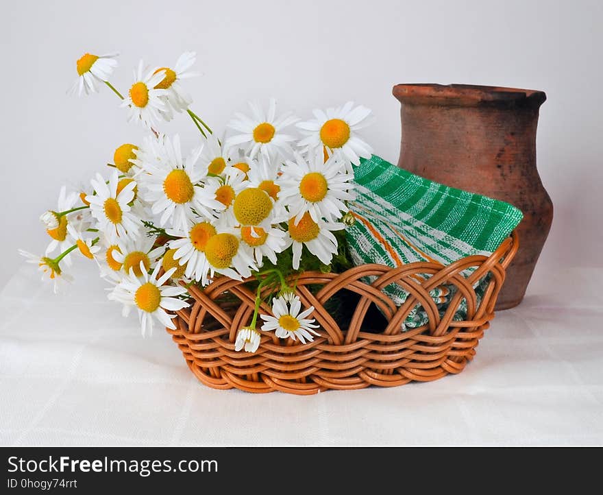 Flowerpot, Vase, Basket, Flower