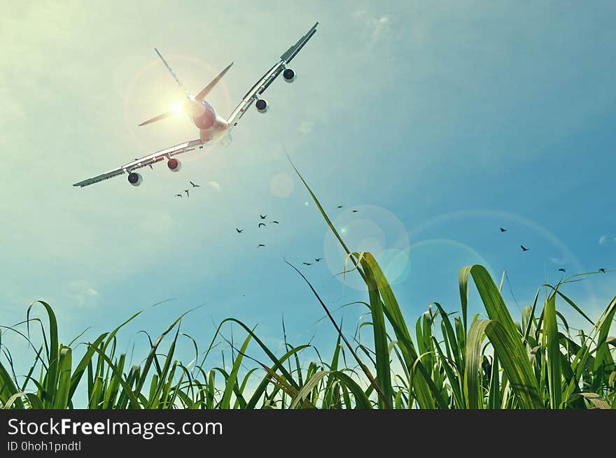 Sky, Atmosphere Of Earth, Grass, Air Travel