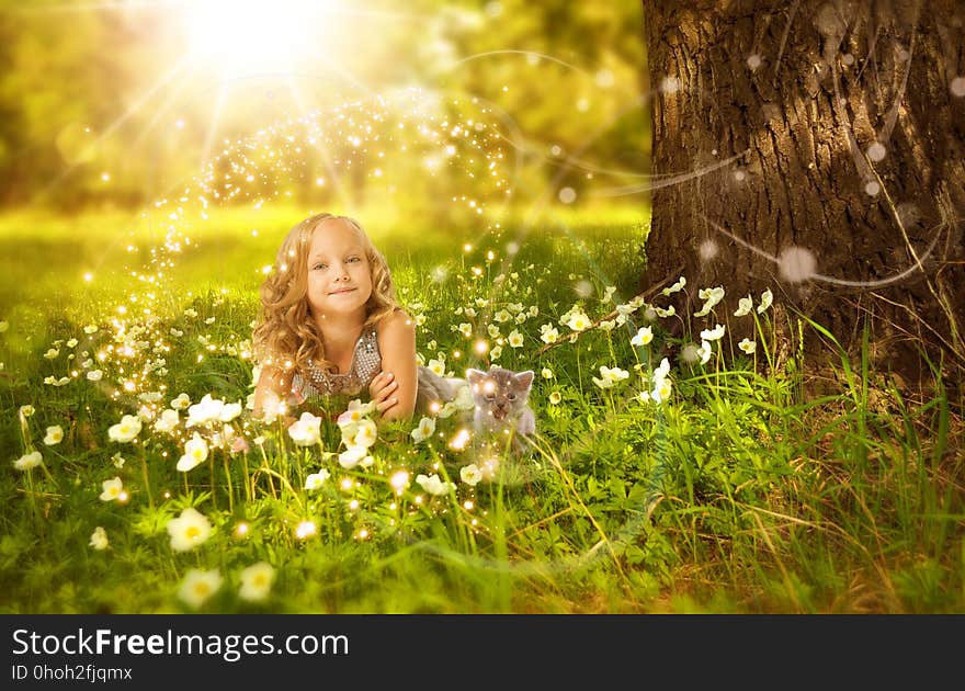 Nature, Photograph, Grass, Spring