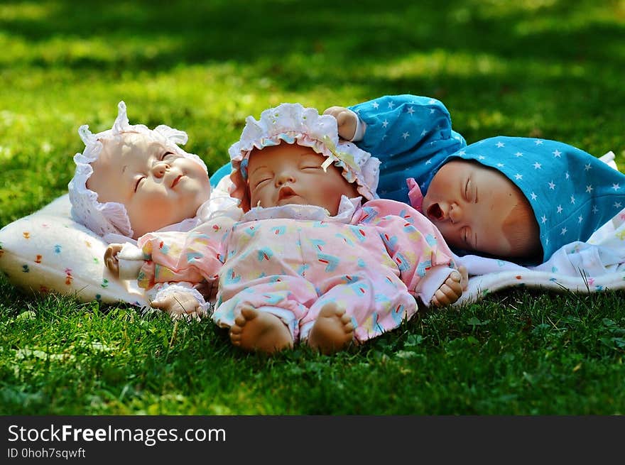 Infant, Child, Grass, Toddler