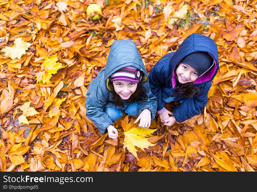 Little Girls In Autumn Orange Leaves At Park