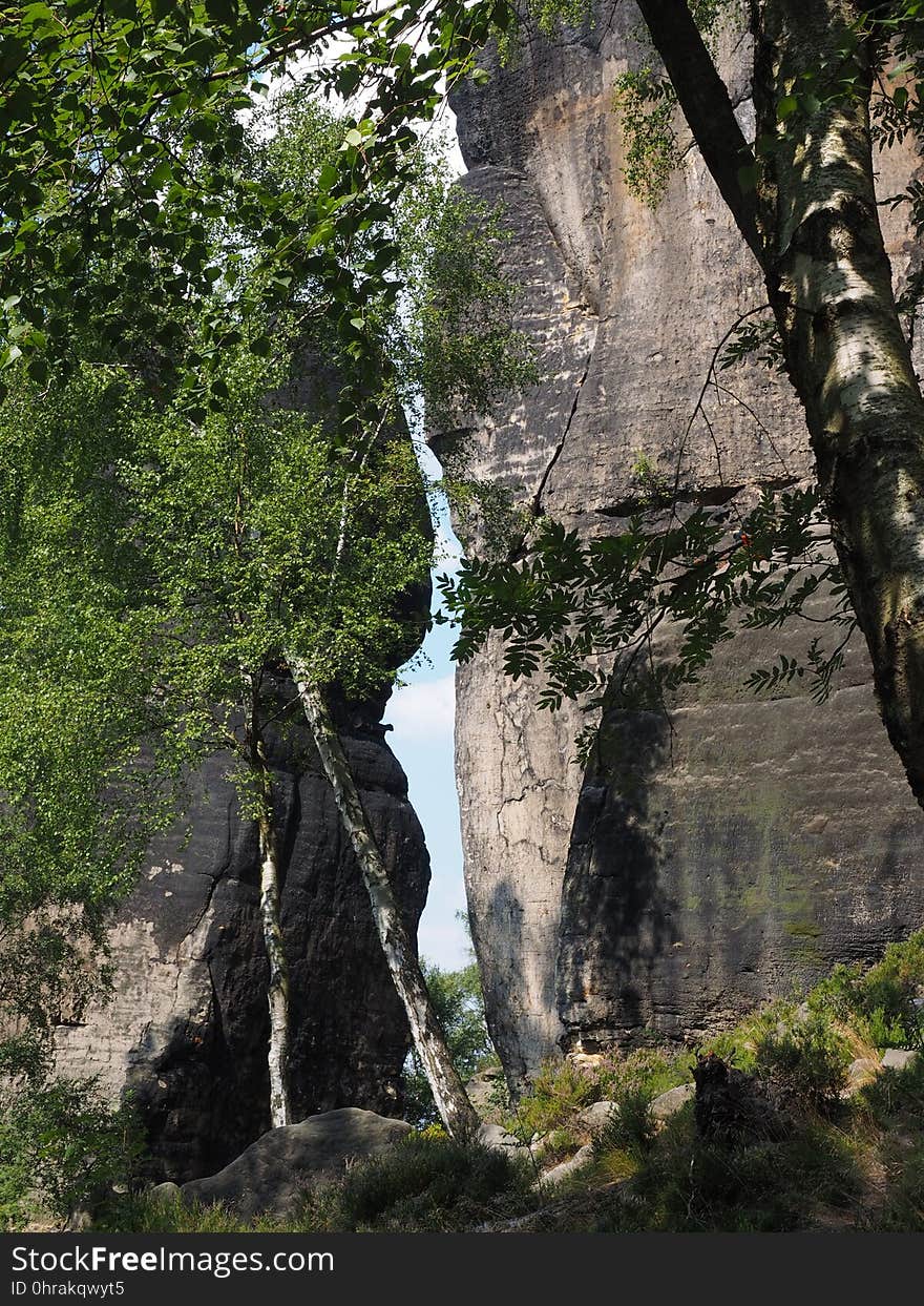 Waterfall, Nature, Body Of Water, Water