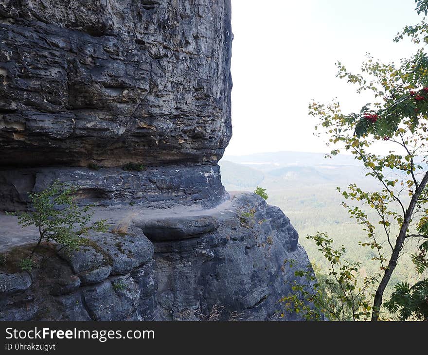 Rock, Wilderness, Tree, Escarpment