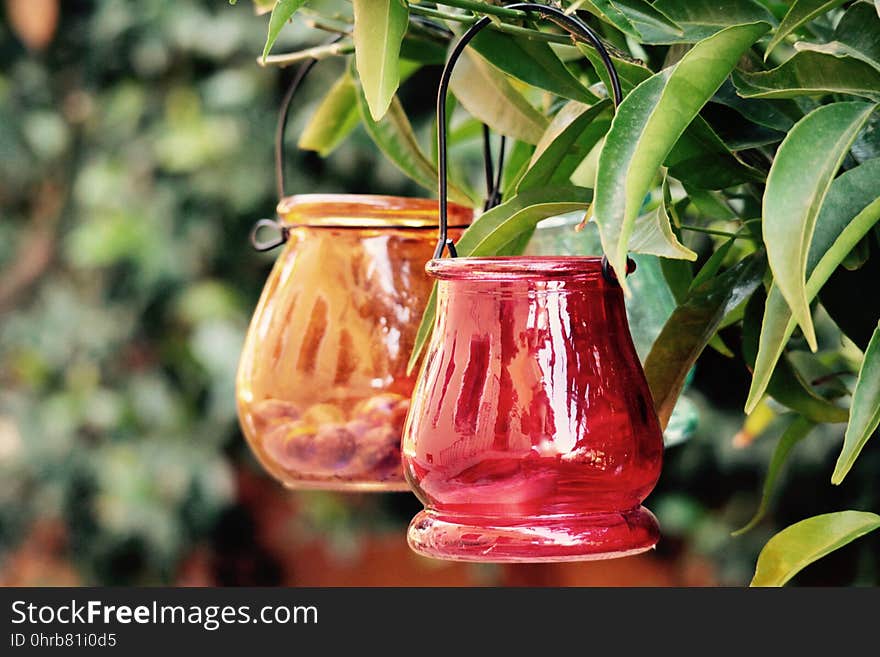 Flowerpot, Plant, Still Life Photography