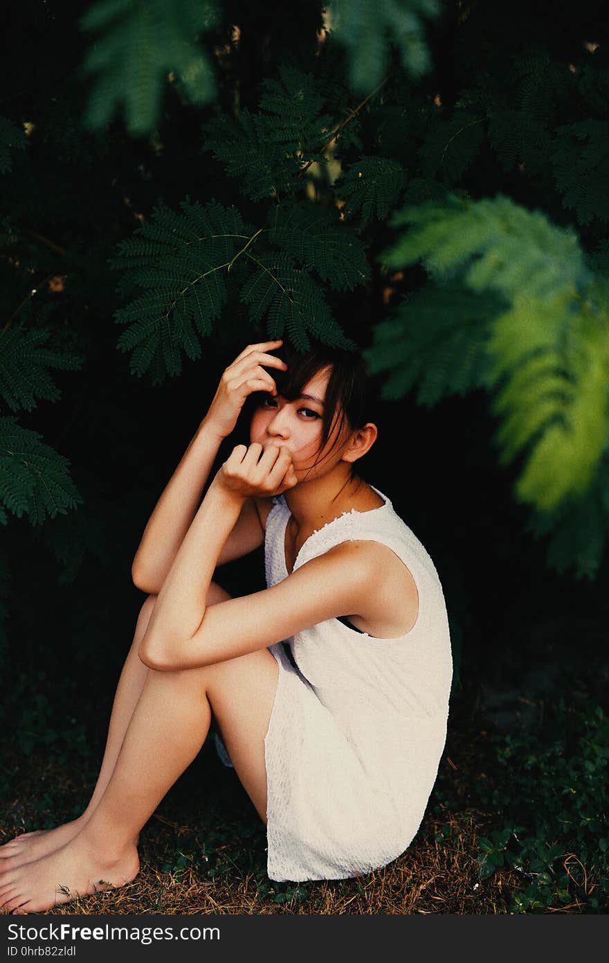 Beauty, Lady, Girl, Leaf