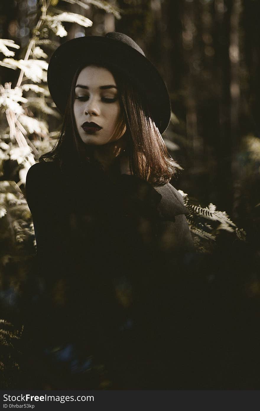 Girl, Tree, Darkness, Headgear