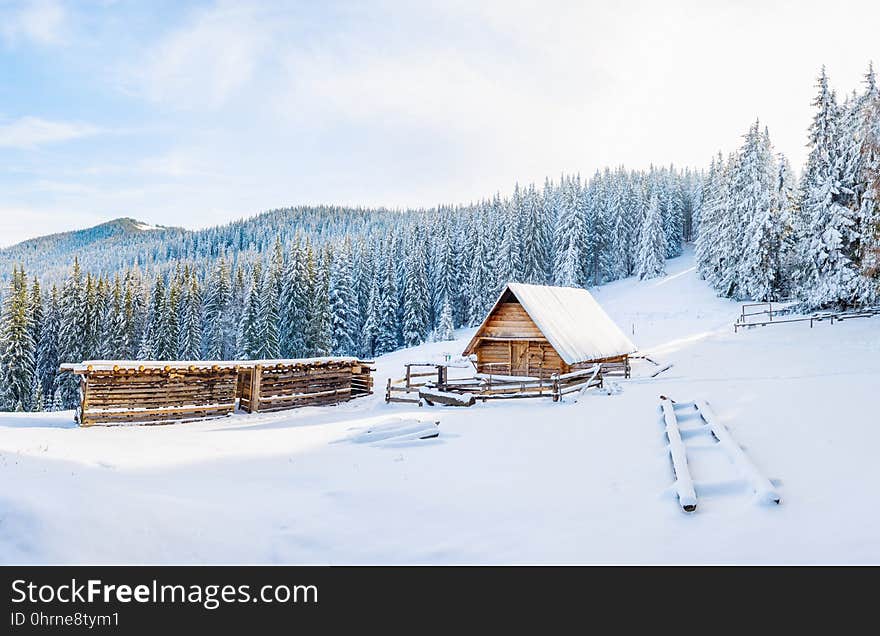 Beautiful wooden house in a winter sunny day.