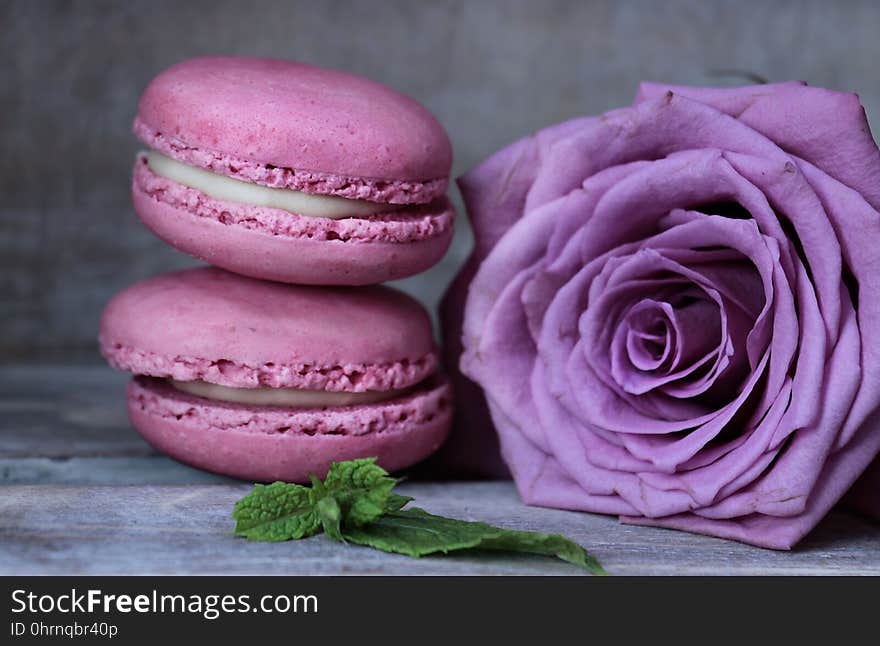 Macaroon, Pink, Sweetness, Magenta