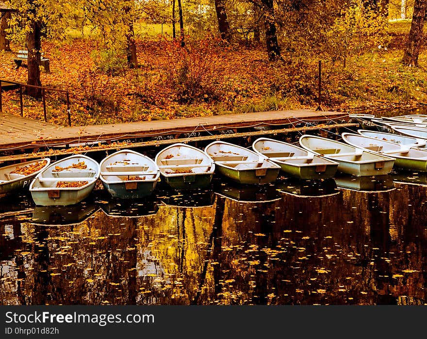 Reflection, Water, Leaf, Autumn