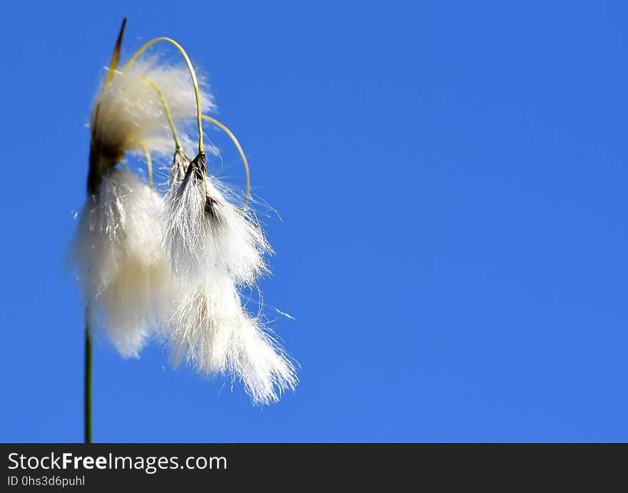 Sky, Atmosphere Of Earth, Close Up, Wing