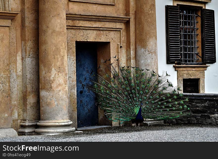 Wall, Window, Door, Architecture