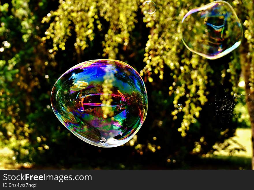 Nature, Reflection, Liquid Bubble, Water