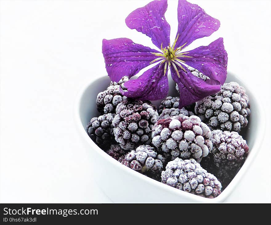 Purple, Violet, Fruit, Superfood