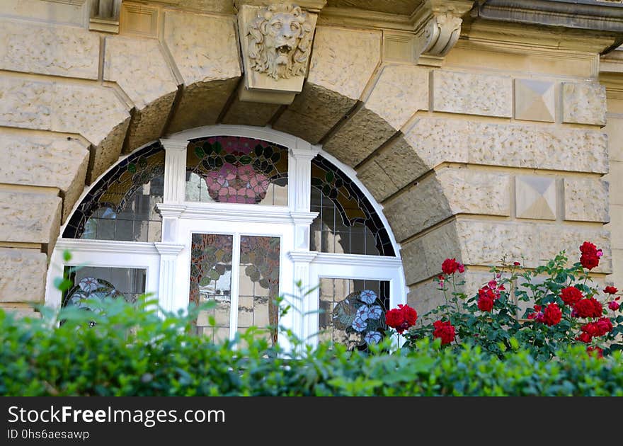 Flower, Window, Arch, Home