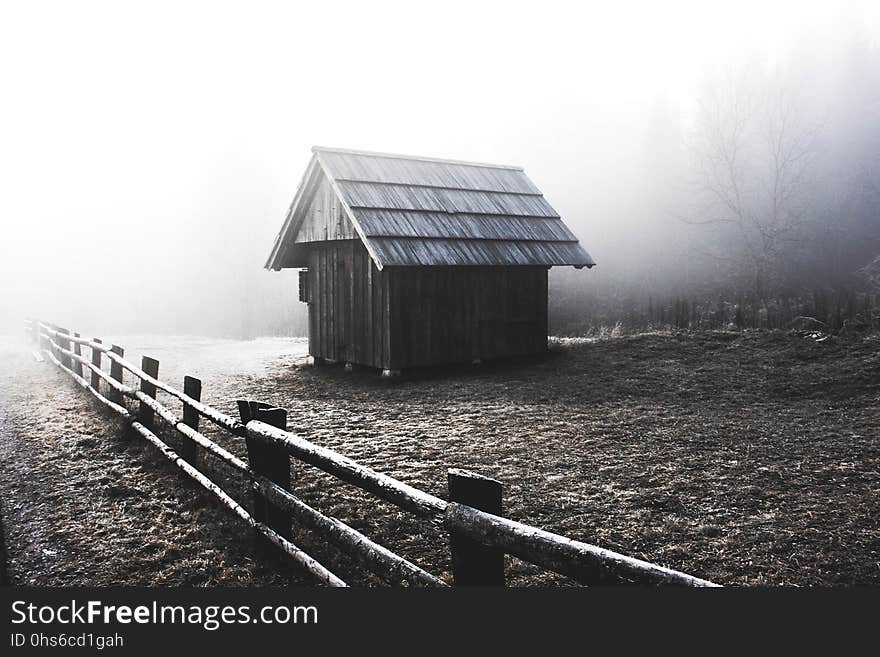 Fog, Black And White, Phenomenon, Morning