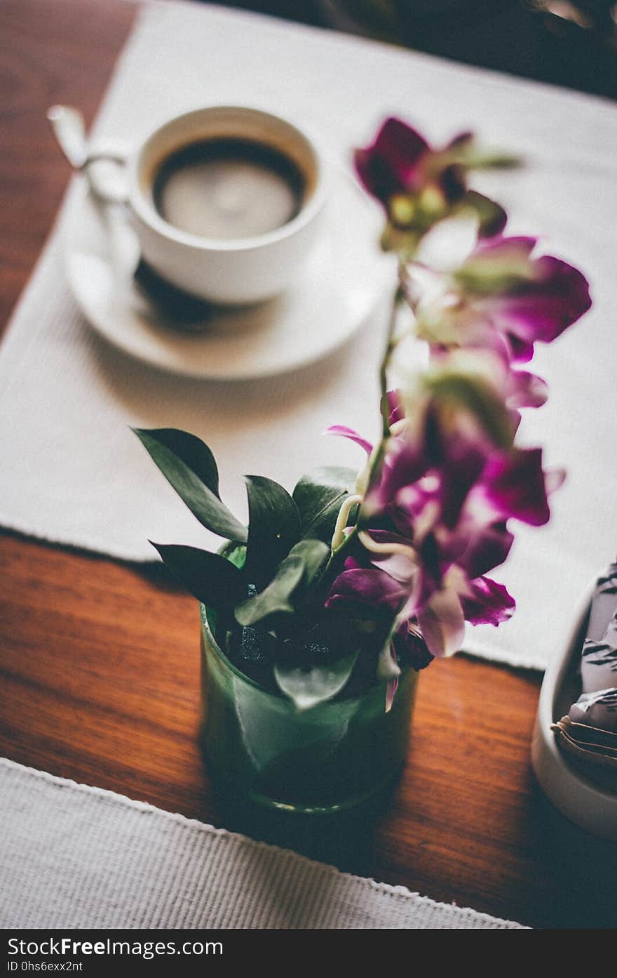 Flower, Purple, Coffee Cup, Tableware