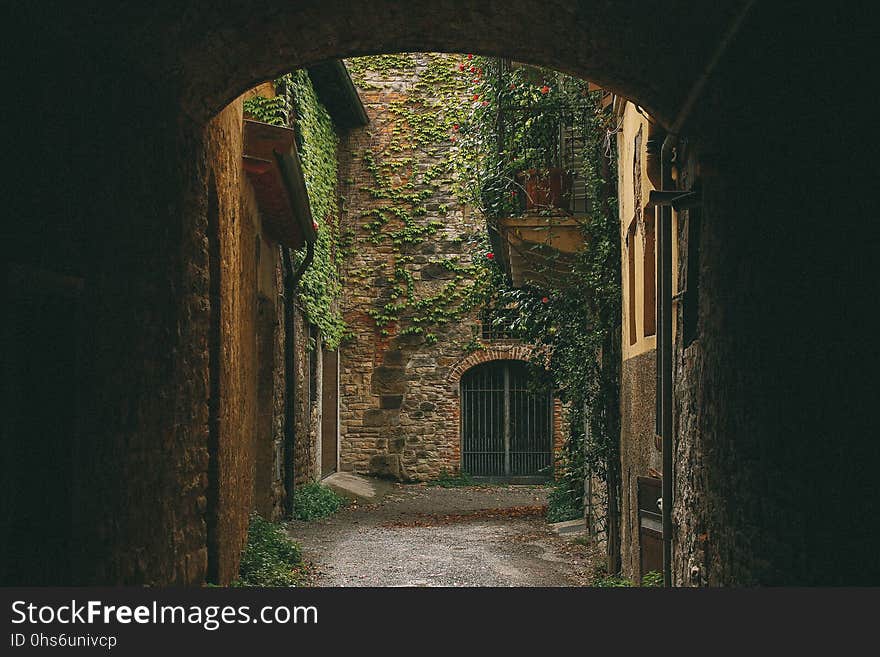 Arch, Wall, Infrastructure, Ruins