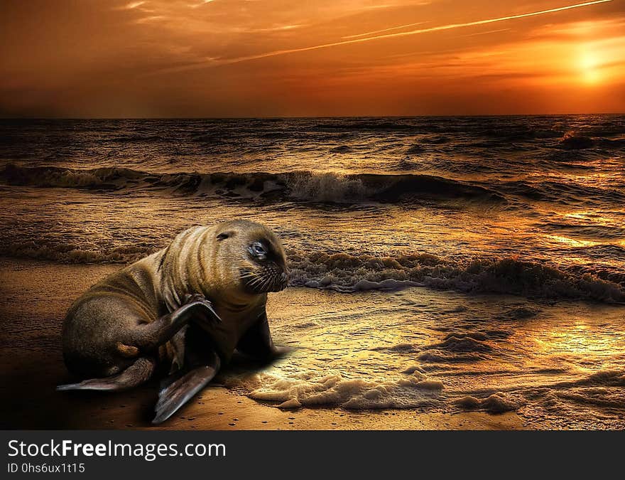 Sky, Photography, Sea, Shore