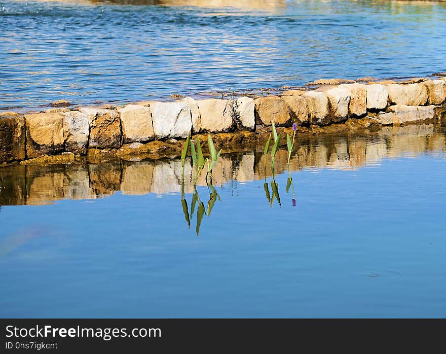 Reflection, Water, Sea, Water Resources