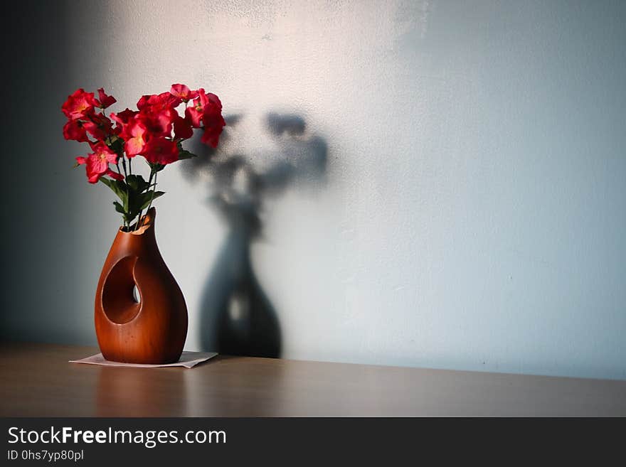 Flower, Red, Still Life Photography, Vase