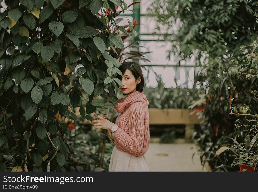 Tree, Girl, Leaf, Plant