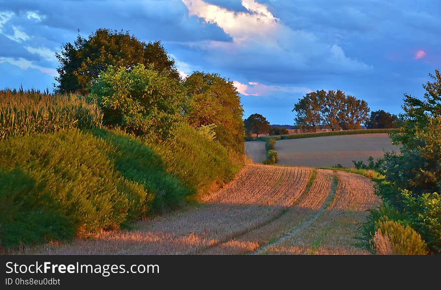 Sky, Nature, Field, Path