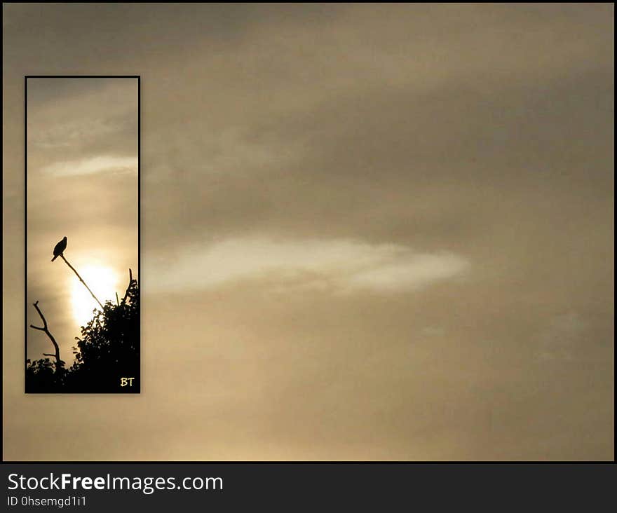 To &#x27;Crush&#x27; and other Flickr nature enthusiasts -- You are welcome to download this &#x27;Osprey at Sunrise&#x27; collage of mine and use it &#x28;supplying your own text&#x29; as a Nature Ecard... Capturing this moment - a magical memory.... A &#x27;NaturebyBill&#x27; original. To &#x27;Crush&#x27; and other Flickr nature enthusiasts -- You are welcome to download this &#x27;Osprey at Sunrise&#x27; collage of mine and use it &#x28;supplying your own text&#x29; as a Nature Ecard... Capturing this moment - a magical memory.... A &#x27;NaturebyBill&#x27; original...