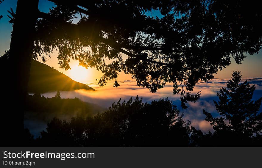 Mount Tam Sunrise