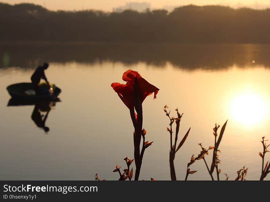 Mother Nature - Always at it&#x27;s best. Mother Nature - Always at it&#x27;s best.