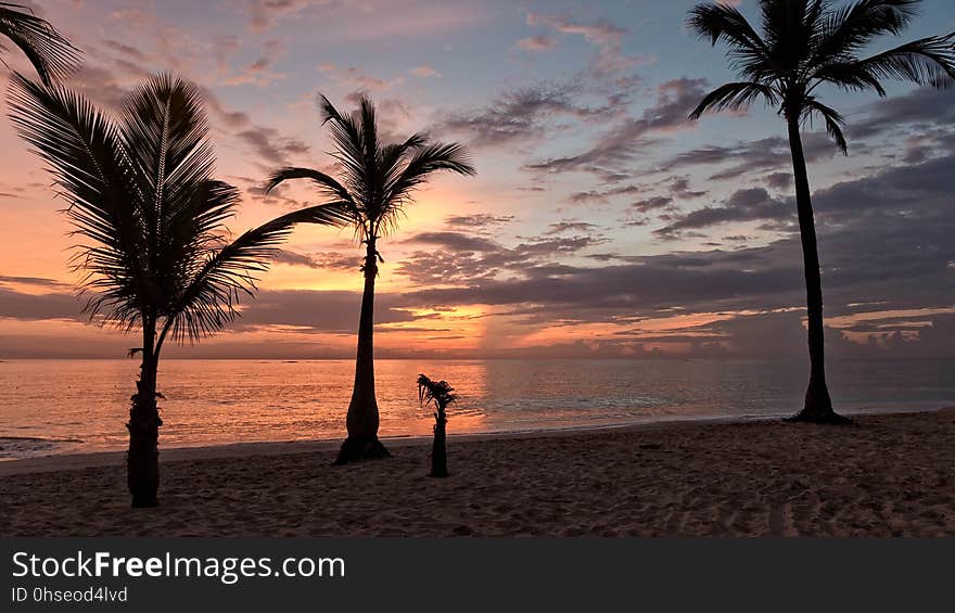 A new day in Bavaro, Dominican Republic. A new day in Bavaro, Dominican Republic.