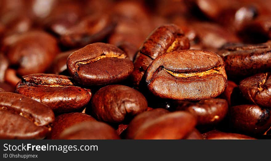 Jamaican Blue Mountain Coffee, Cocoa Bean, Caffeine, Bean