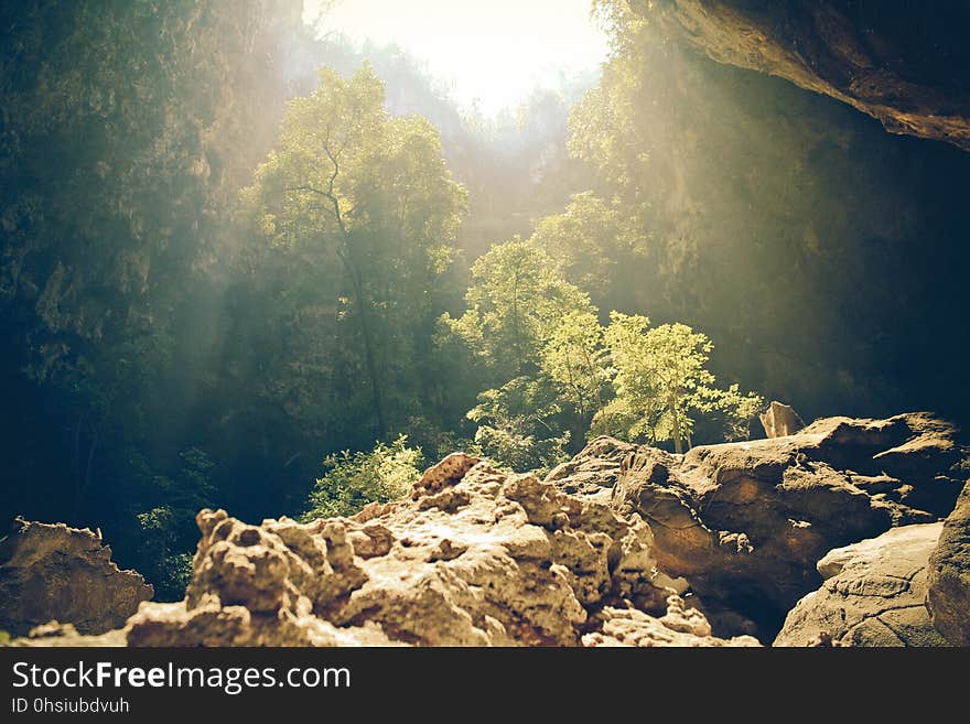 Nature, Water, Rock, Vegetation