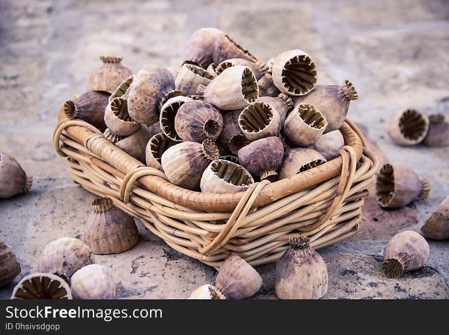 Tree Nuts, Walnut, Cockle, Nut