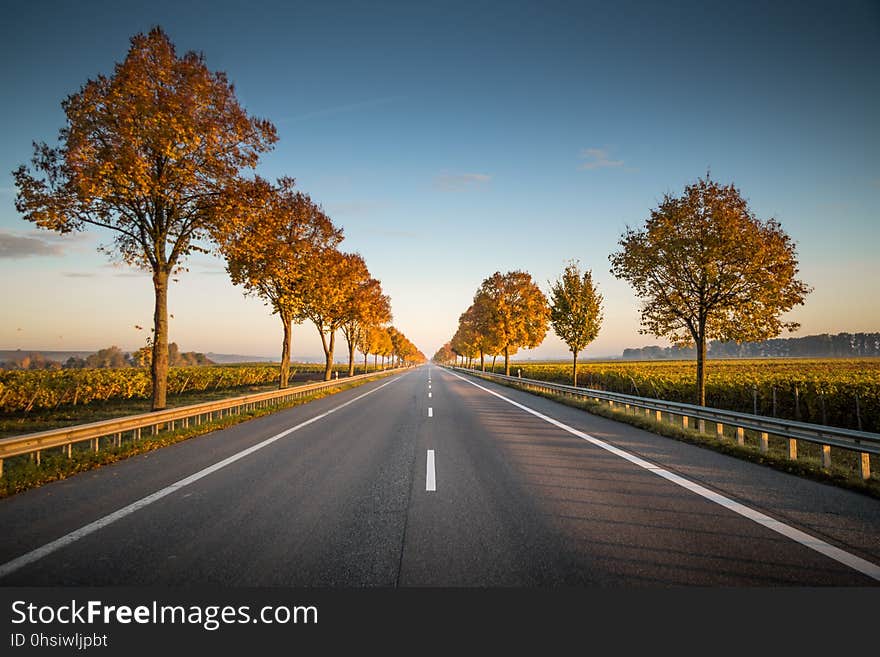 Road, Sky, Nature, Highway