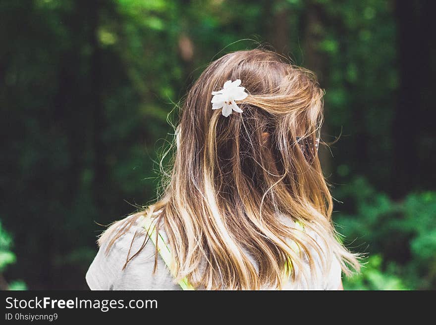 Hair, Hairstyle, Girl, Headpiece