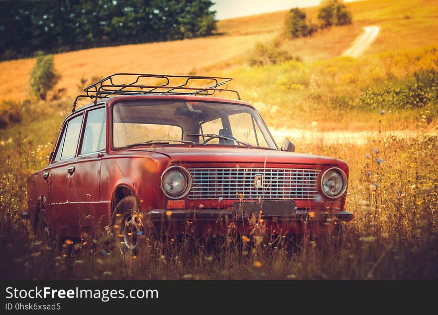 Car, Motor Vehicle, Yellow, Family Car