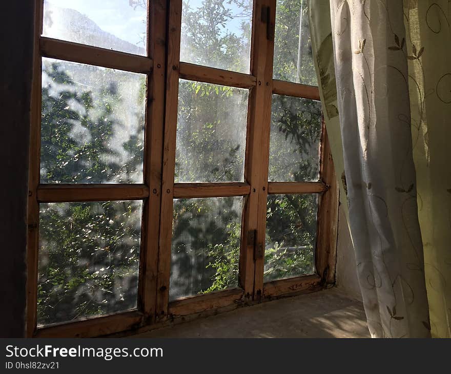 Window, Property, Tree, Home