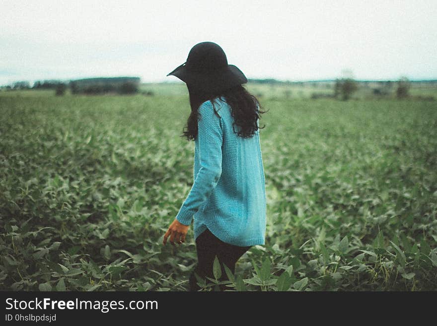 Grass, Field, Agriculture, Crop